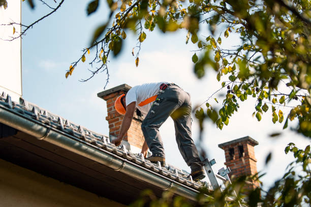 Best Storm Damage Roof Repair  in Hidalgo, TX