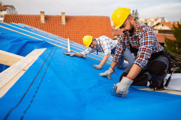Roof Repair Estimates in Hidalgo, TX