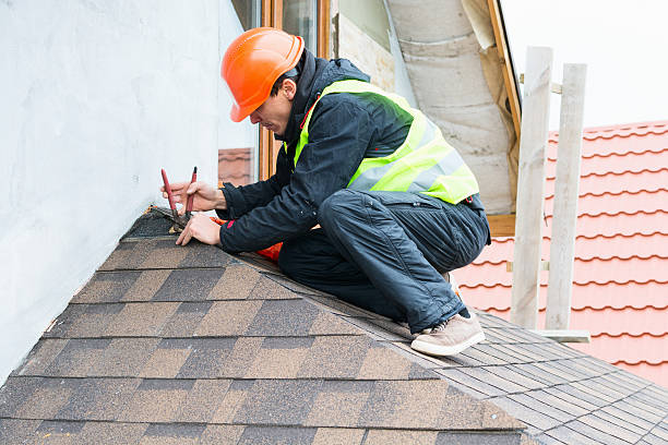 Best Emergency Roof Repair  in Hidalgo, TX